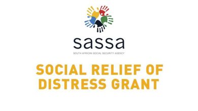 A Comprehensive Guide To The Srd Grant In South Africa 16