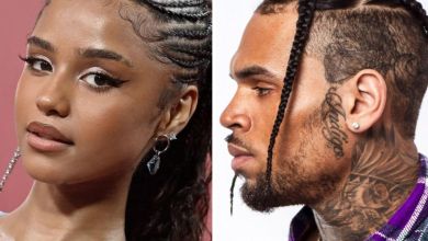Chris Brown And Tyla Spark Collaboration Rumors At Star-Studded Birthday Bash 12