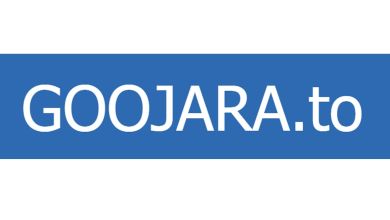 Goojara: The Grey World Of Free Streaming 16