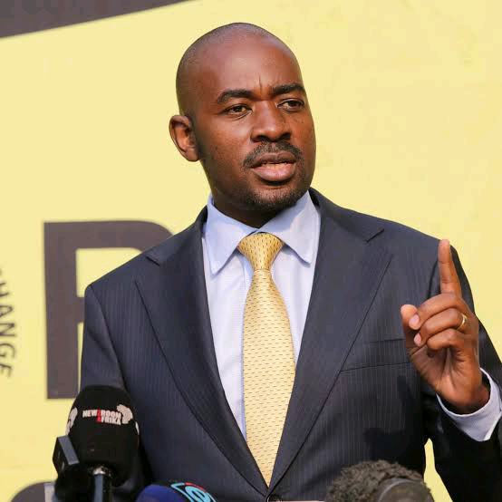 Nelson Chamisa Biography, Age, Net Worth, House, Cars, Wife, Education, Parents, Siblings &Amp; Party 3