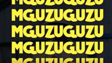 Ulazi – Mguzuguzu Vol. 21 (Strictly Infinity Musiq) 11