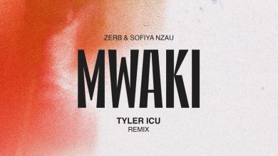 Zerb, Tyler Icu &Amp; Sofiya Nzau – Mwaki (Tyler Icu Remix) 9