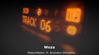 Malumnator – Woza Ft. Brandon Dhludhlu 1