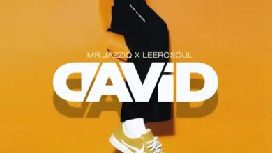 Mr Jazziq &Amp; Leerosoul – David 10
