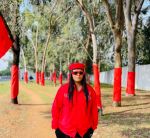 Red Revolution: Eff'S Bold Statement Shakes Ekurhuleni 5