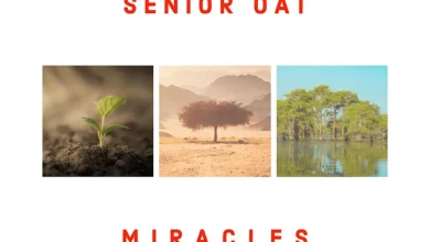 Senior Oat - Reason To Pray (Radio Edit) Ft. Mzweshper_Sa 14