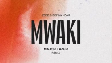 Zerb - Mwaki Ft. Sofiya Nzau (Major Lazer Remix) 1