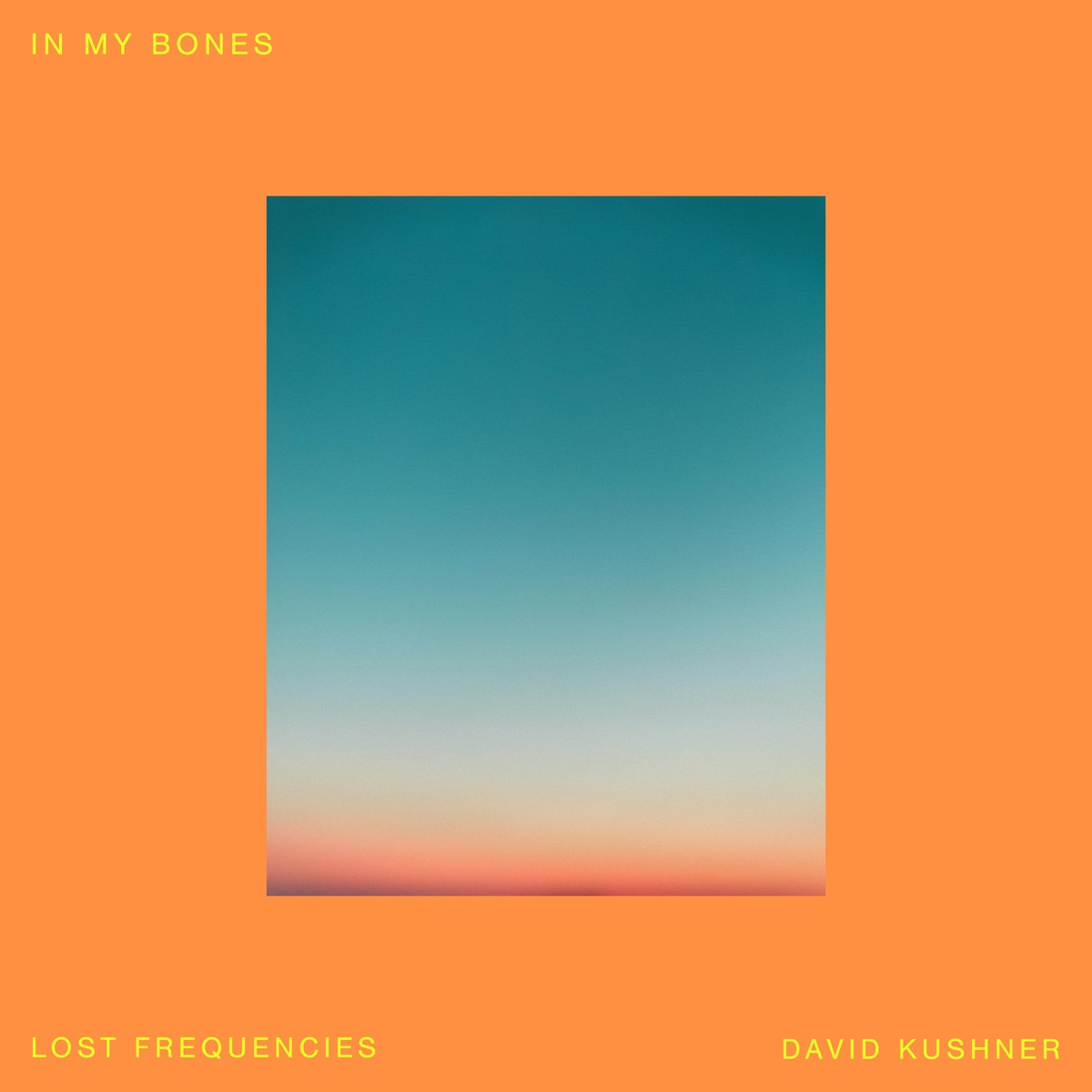 Lost Frequencies &Amp; David Kushner - In My Bones 1