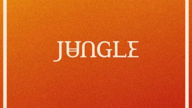 Jungle - Volcano 17