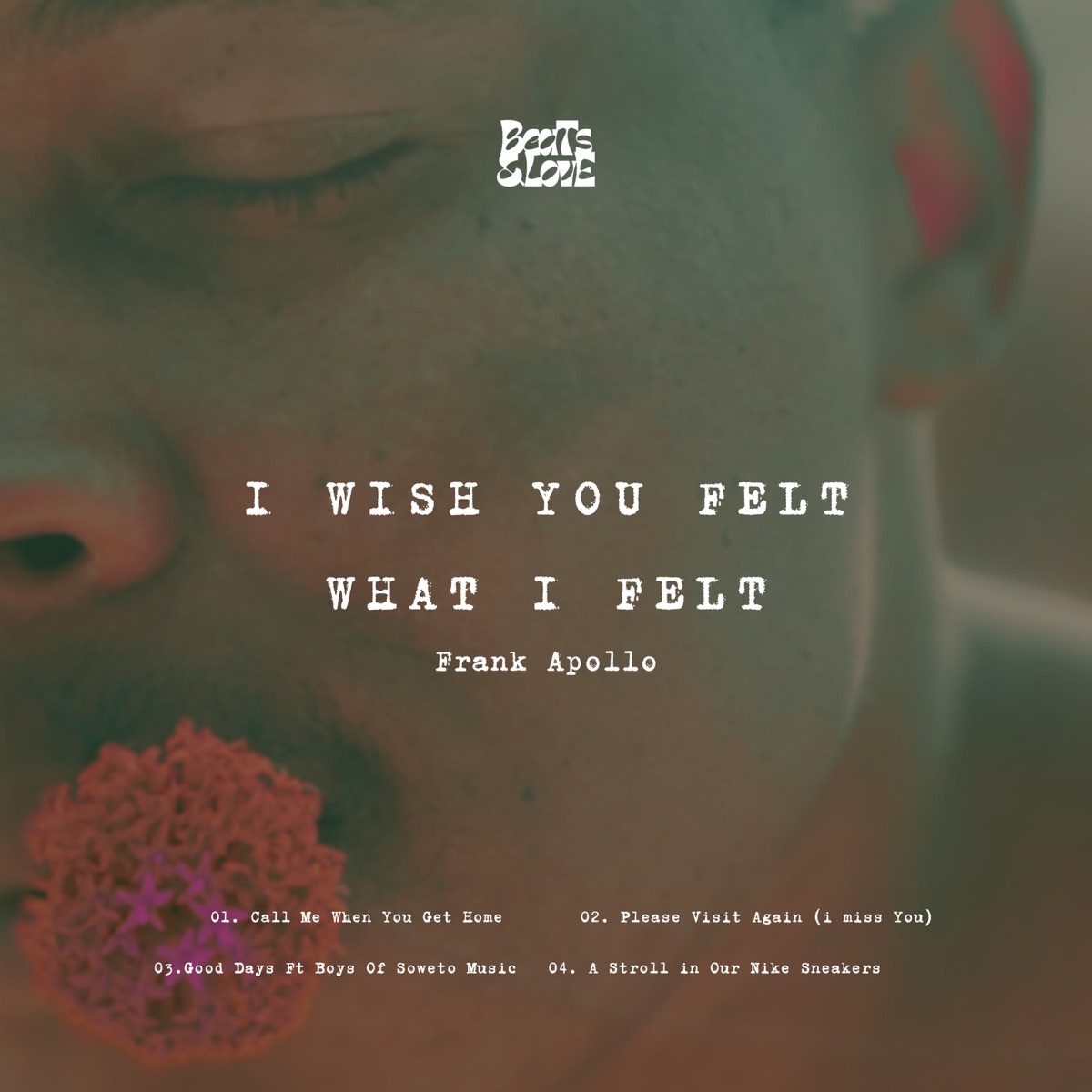 Frank Apollo - I Wish You Felt What I Felt Ep 1