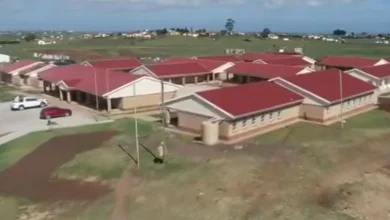 Premier Oscar Mabuyane Unveils R106M School 9