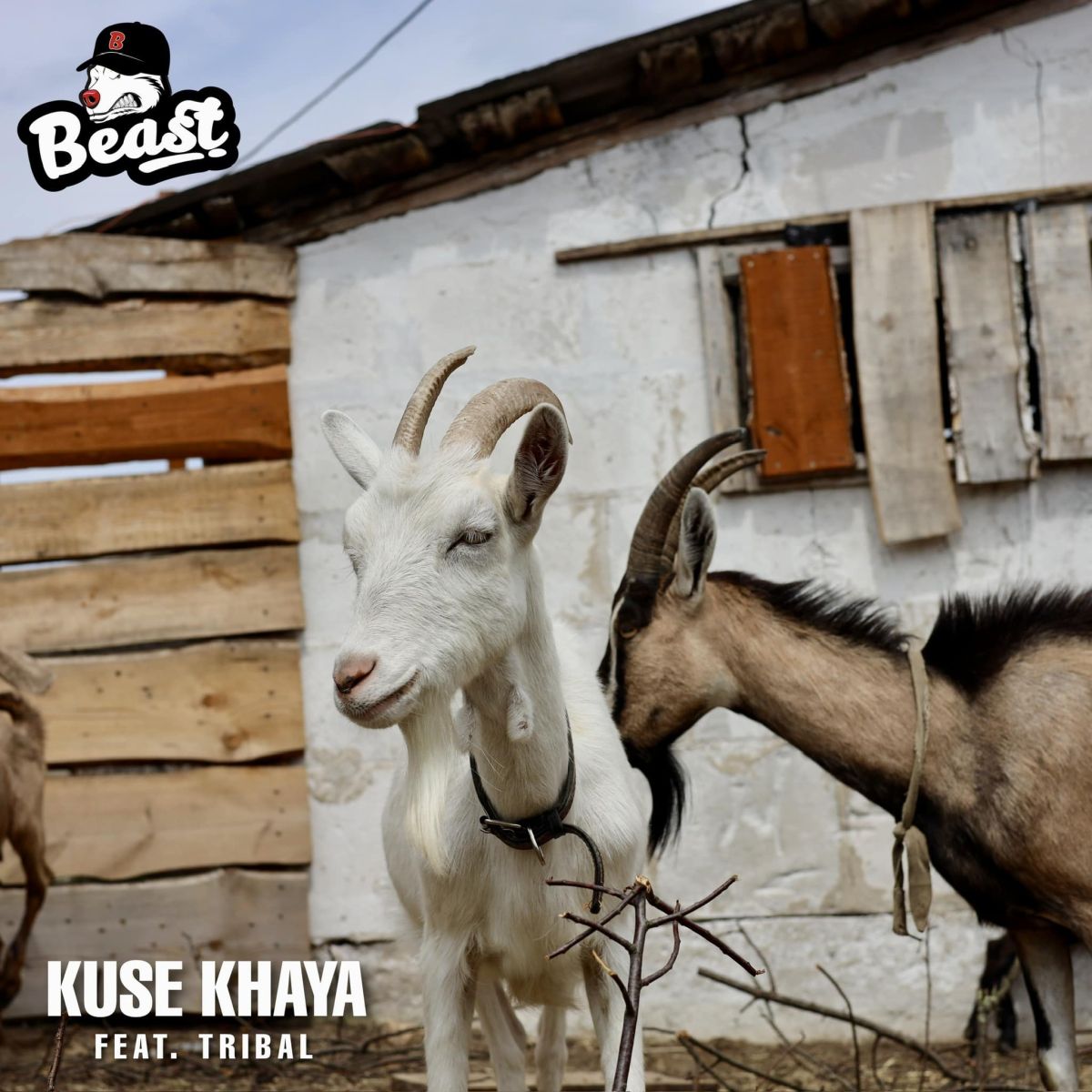 Beast Rsa – Kuse Khaya Ft. Tribal 1