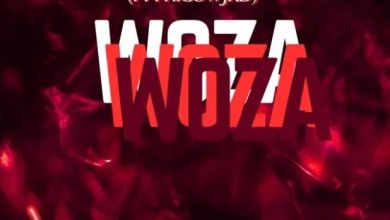 Mcdeez Fboy &Amp; Drummertee924 – Woza Woza Ft. Phigow Jrd 14