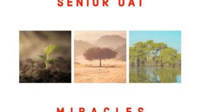Senior Oat - Miracles Album 13