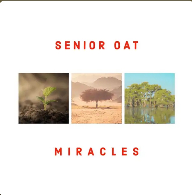 Senior Oat - Miracles Album 1