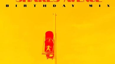 J&Amp;S Projects – Shakes Avenue Birthday Mix 11