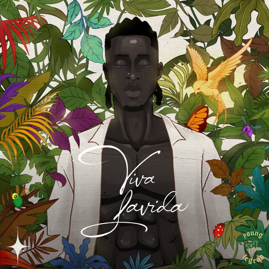 Best Afrobeats Albums of 2025 (So Far)