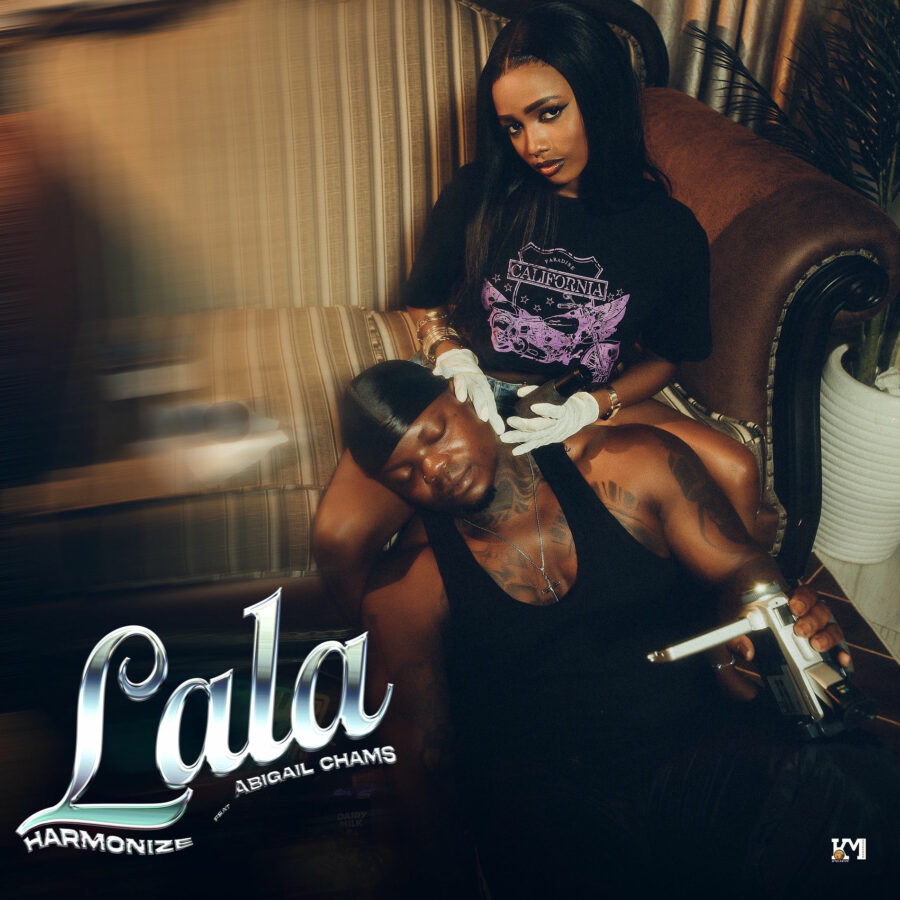 Best 12 Of the Best Bongo Flava Songs In 2025