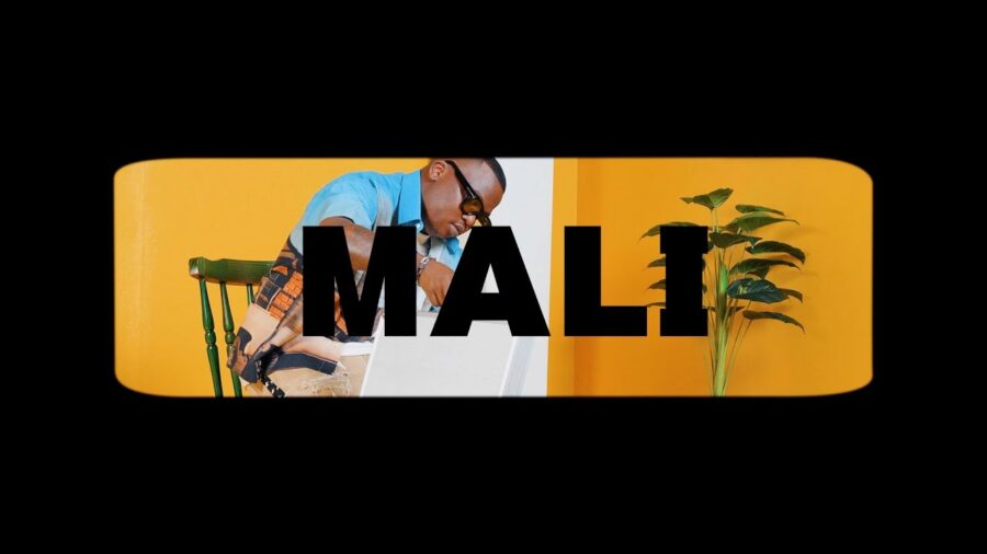 Dlala Thukzin & Zee Nxumalo - Mali (Official Video)