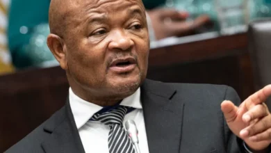 Biography of Edward Senzo Mchunu