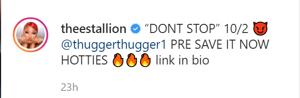 Megan Thee Stallion Announces A New Joint ‘Don’t Stop’ With Young Thug 2