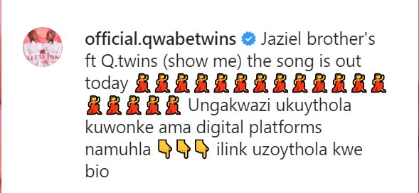 Q Twins - Show Me Ft. Jaziel Brothers 2